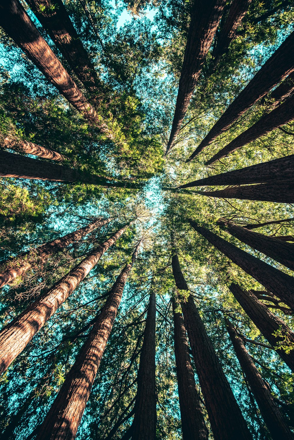 Journeys of Meaning